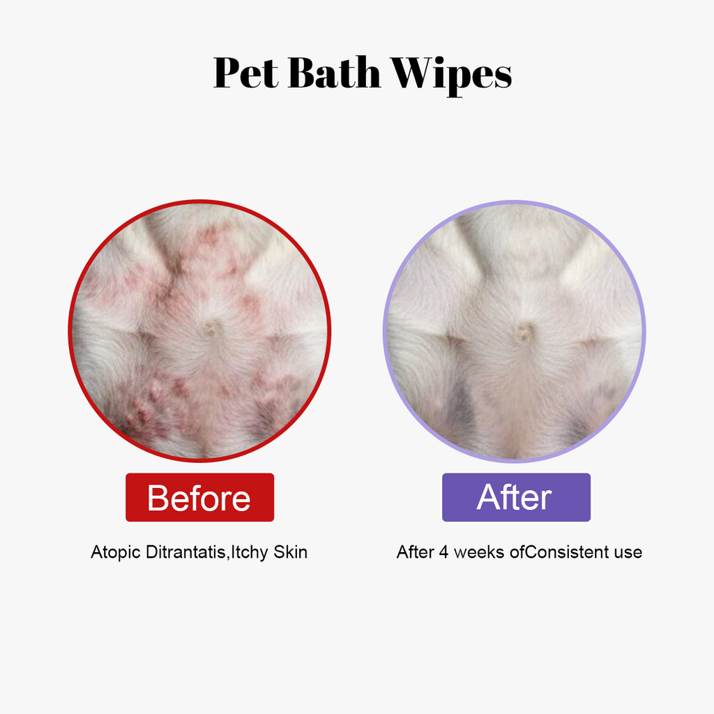 Pet Cleaning Glove Wipes: No-Rinse Waterless Bath (6/12/20 Pack)