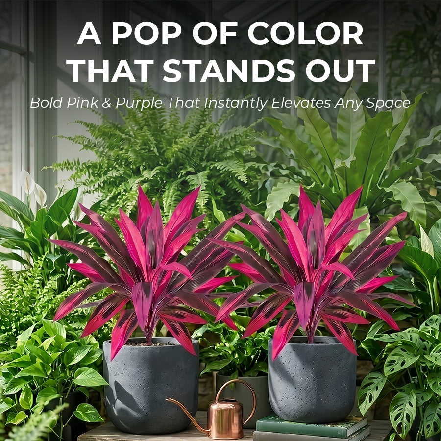 2Pcs Artificial Boston Fern & Dragon's Blood Tree Plants